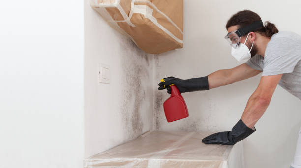 Professional Mold Cleanup technician working in Libertyville, IL