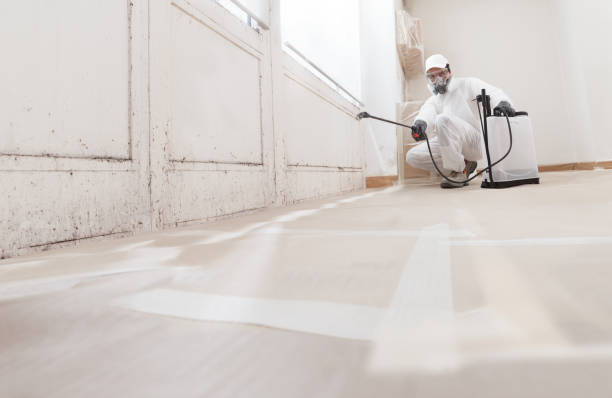 24/7 Emergency Mold Cleanup experts in Libertyville, IL