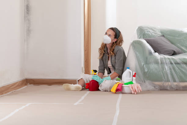 Reliable Mold Cleanup contractor in Libertyville, IL by Cheap Mold Removal